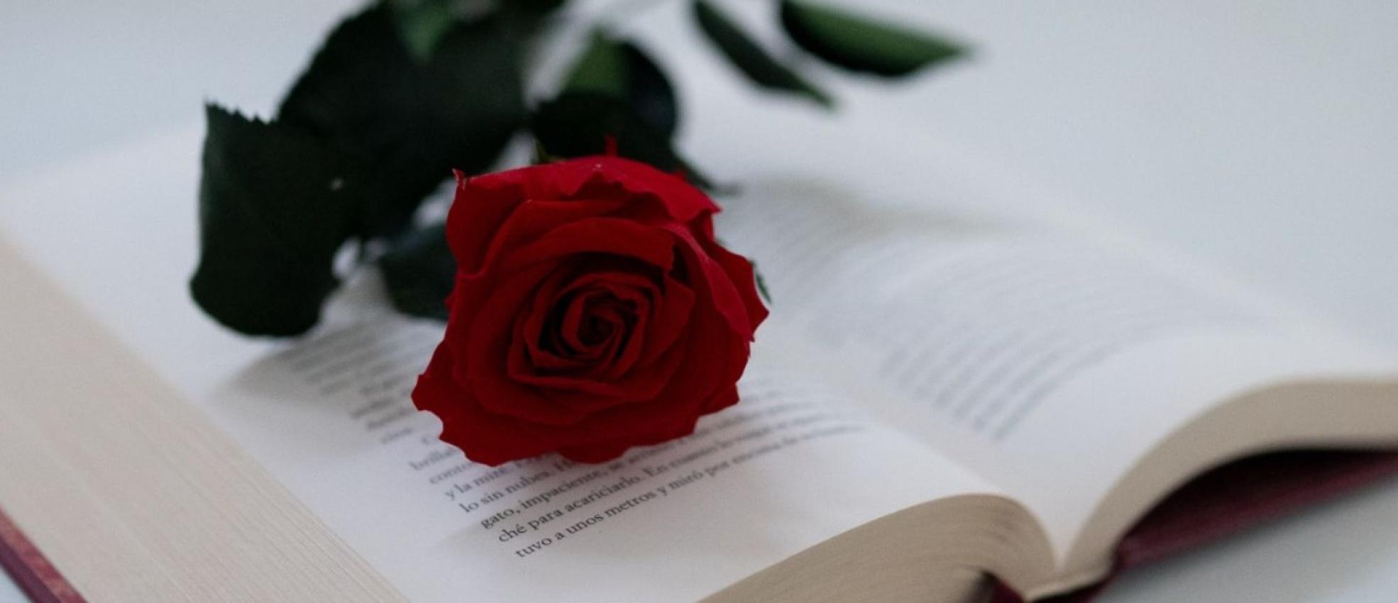 charla escritor literatura evento cultural