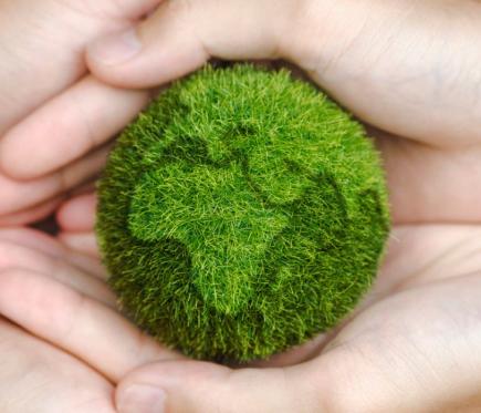 Objetivos de Desarrollo Sostenible ODS