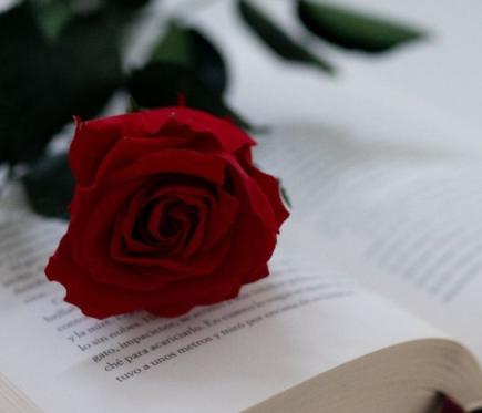 charla escritor literatura evento cultural